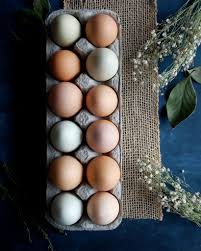 2 Eggs Farm Fresh