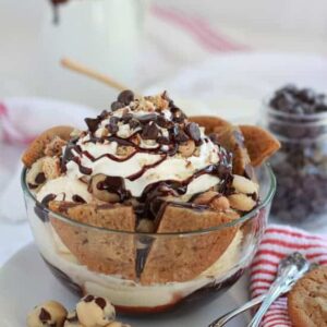 Hot Chip Sundae
