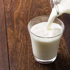 Whole Milk
